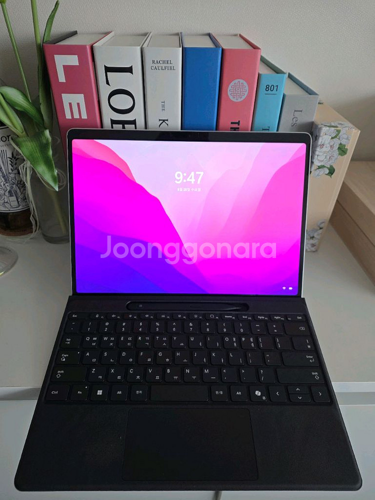 2025 서피스프로11 루나레이크 u7 32gb--0