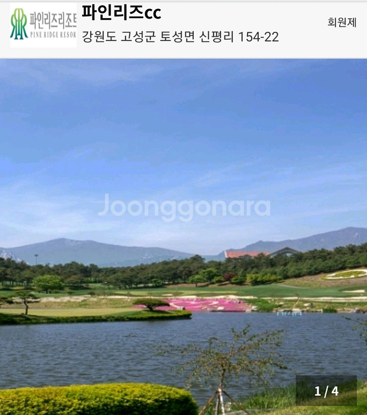 8/23(토)고성 파인리즈 리조트20평2인1실 숙박권--1
