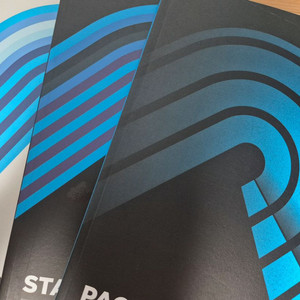 스타팅블록 공통