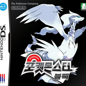 포켓몬스터 블랙 BW 닌텐도 DS 3DS 알칩