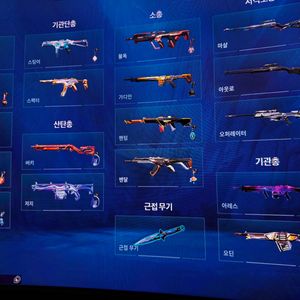 발로란트 굿즈 2022 vct락인