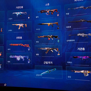발로란트 굿즈 2022 vct락인
