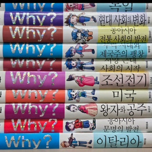 why 와이 역사책 21권