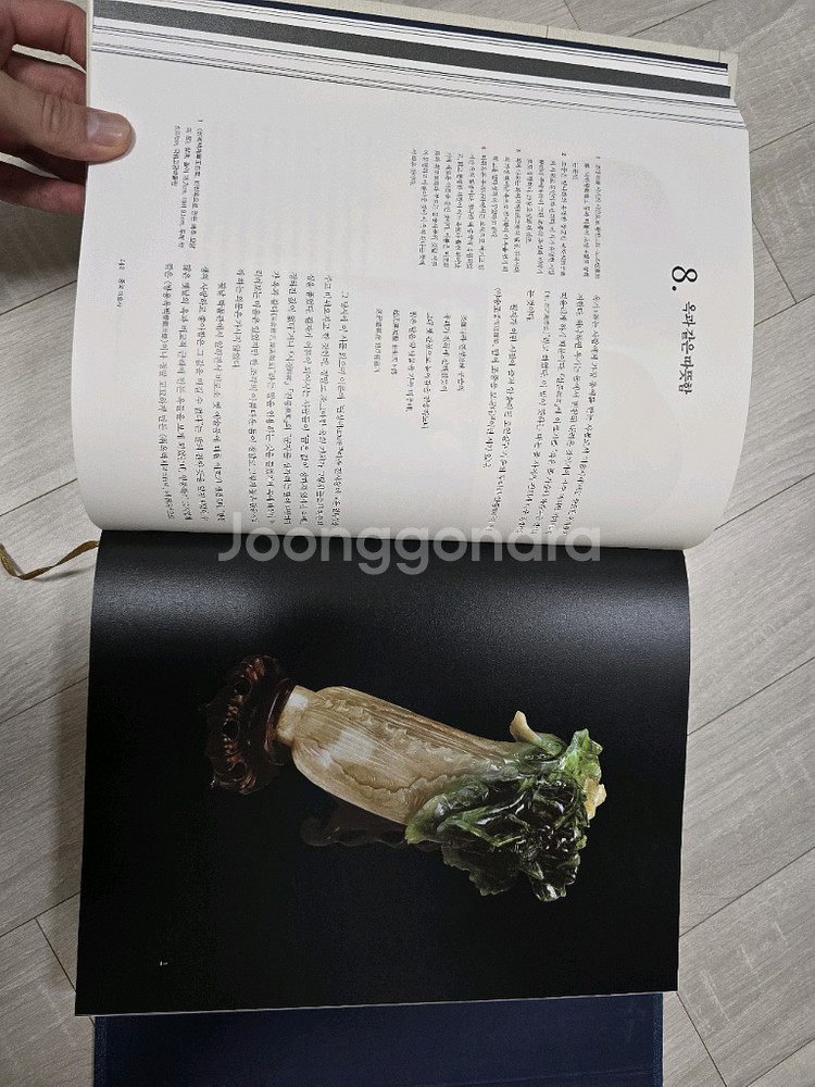 중국미술사(절판)(대만국립박물관 소개서)--3