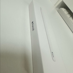 애플펜슬 2세대