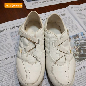 허쉬퍼피 운동화 가죽 US7.5(245mm)