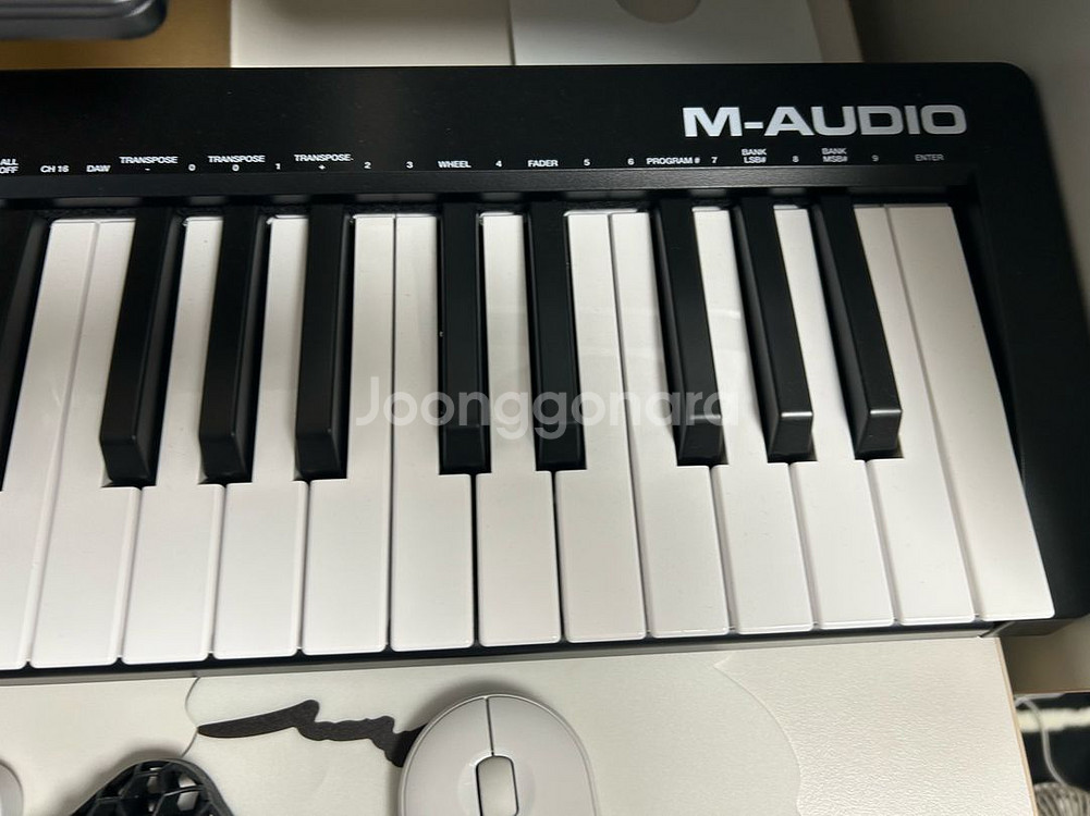 M audio Kystation 49 mk3--1