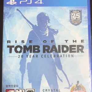 PS4 라이즈 오브 더 툼레이더