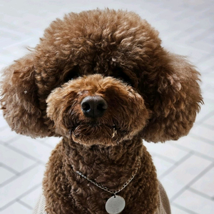 어린이집,유치원 차량 삽니다!(개인)