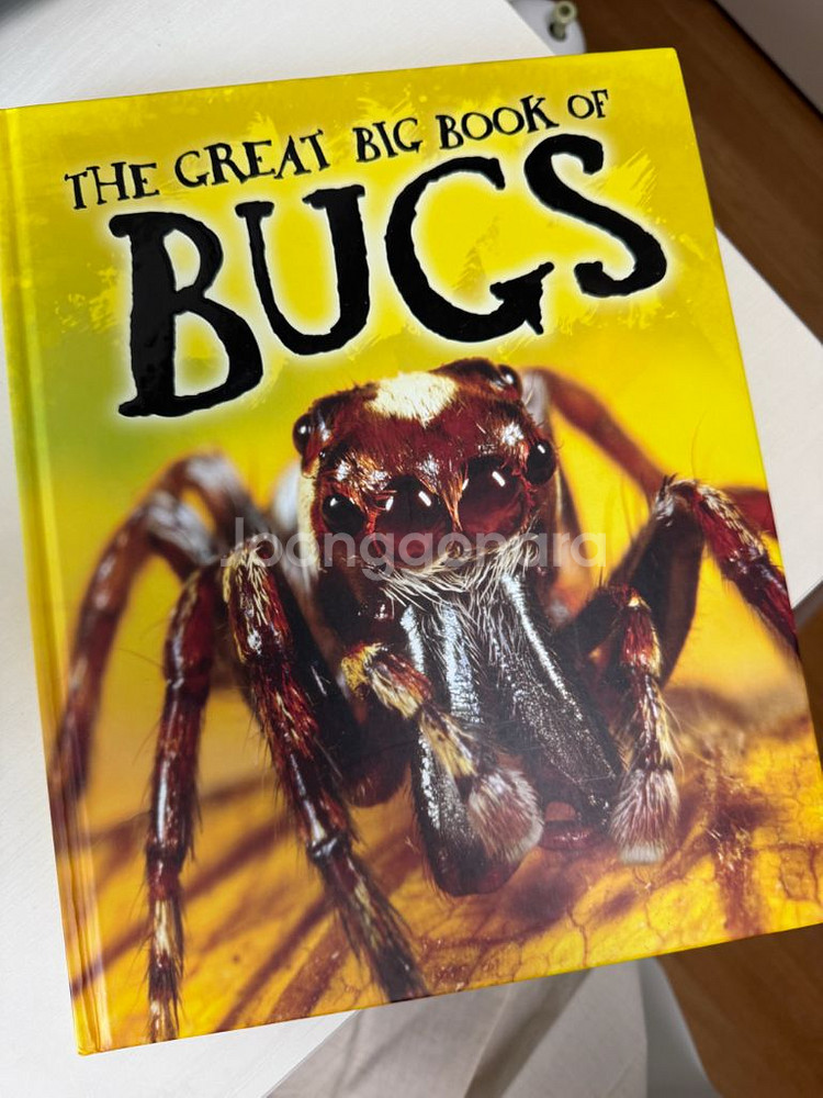 the great big book of bugs--0