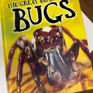 the great big book of bugs