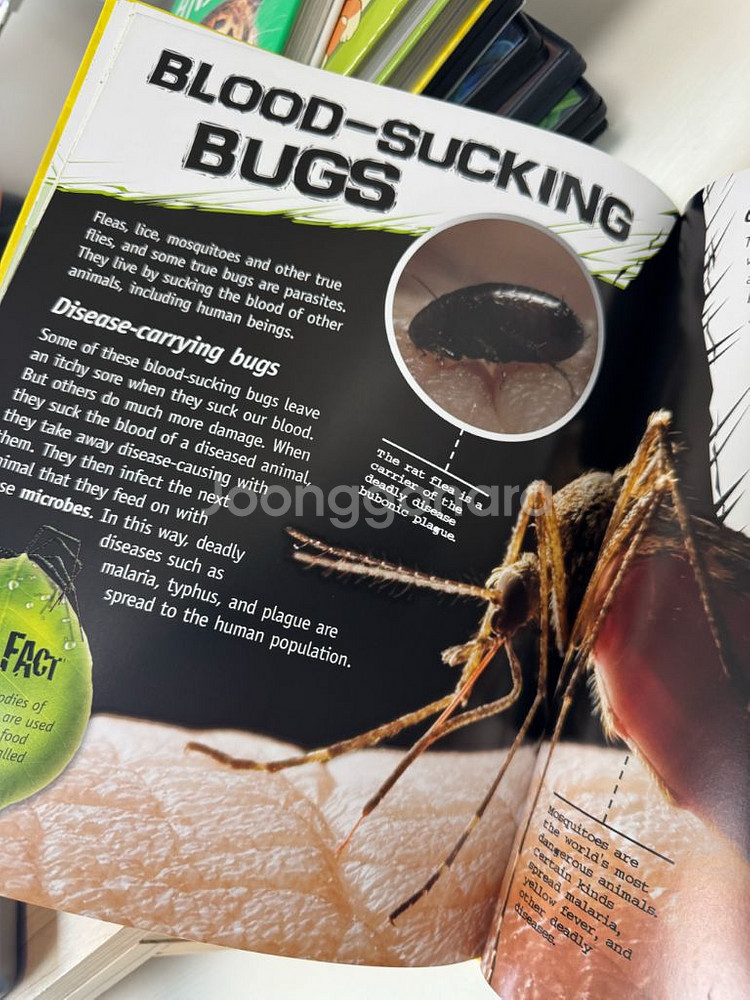 the great big book of bugs--3