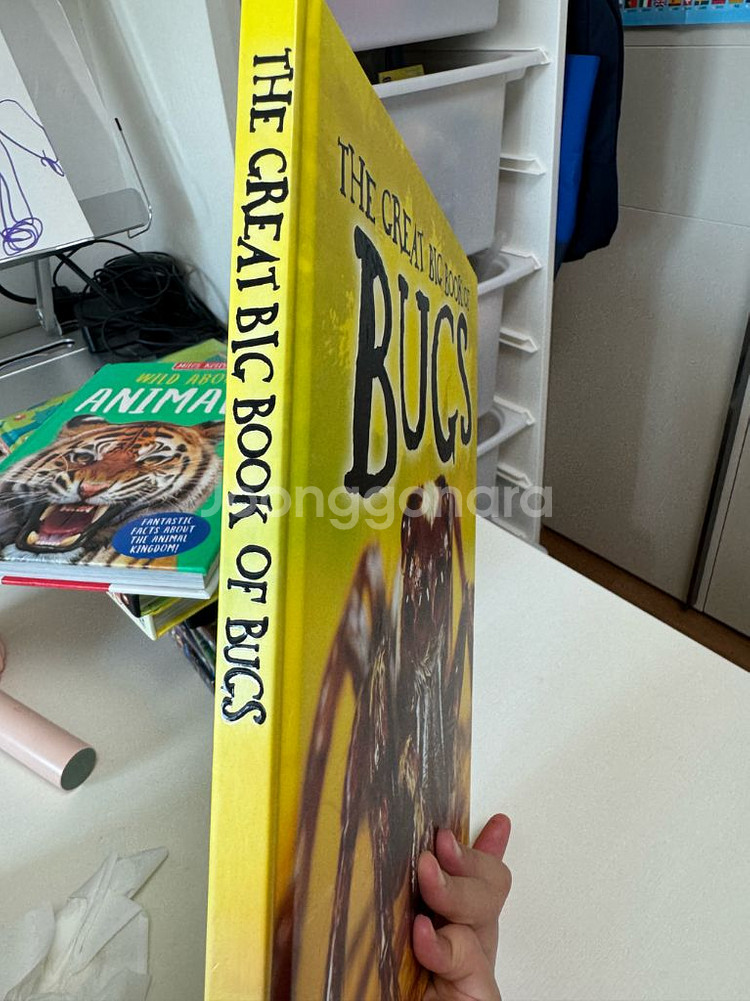 the great big book of bugs--4