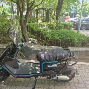 이지베이션 타우러스es듀얼