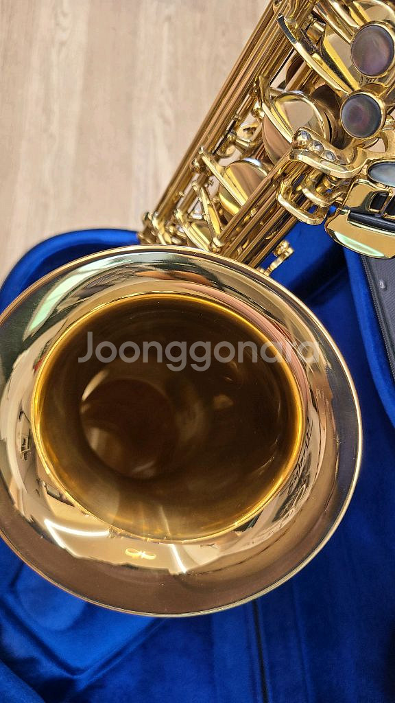 알버트웨버 T96G 테너 색소폰 판매합니다--8