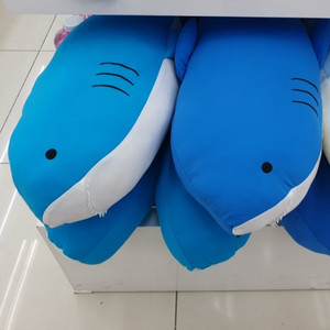 다이소 쿨링 아기상어인형 매입중