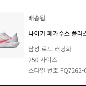 나이키 페가수스 플러스 250사이즈 런닝화팝니다