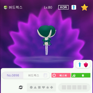 포켓몬스터 닌텐도 스칼렛 바이올렛 버드렉스