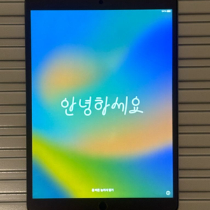 아이패드 에어3 스그 64G Wifi + 애플펜슬1