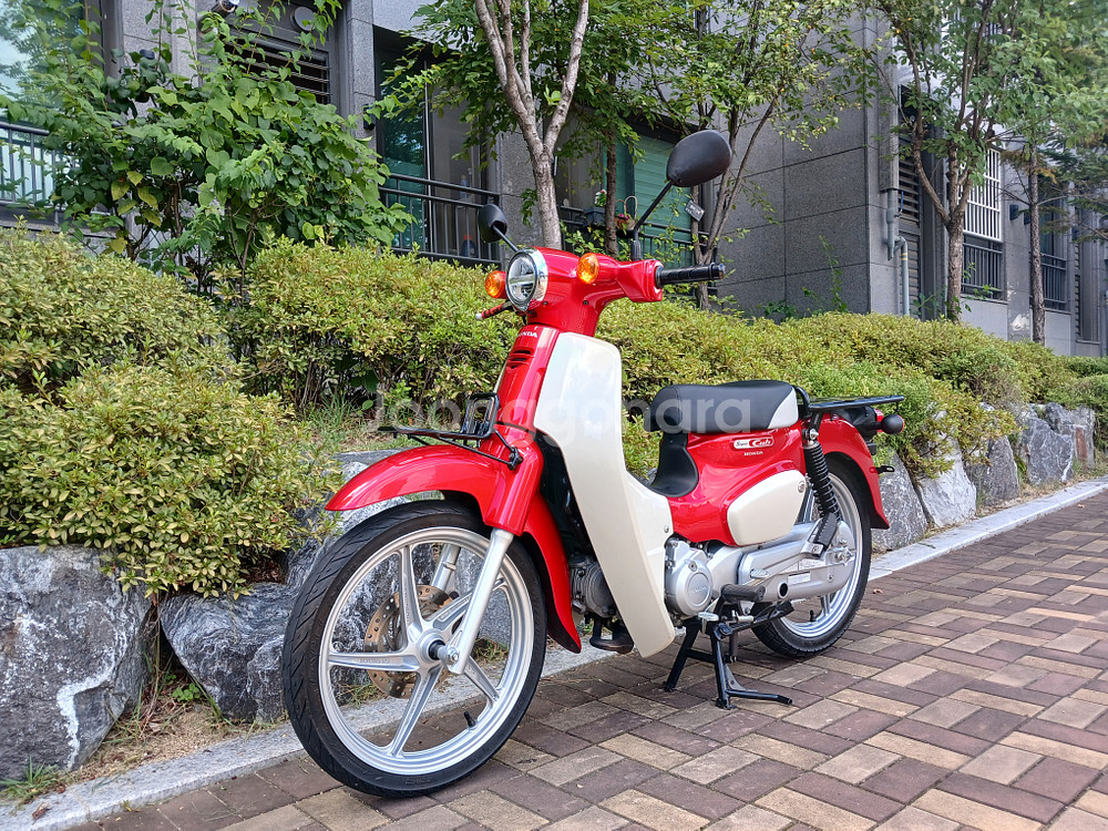 슈퍼커브110 2023년식 14,550km--2