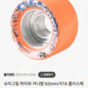 롤러스케이트 신발 빠진 풀셋