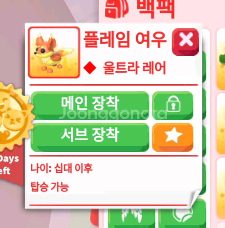 입양하세요 R플레임여우--0