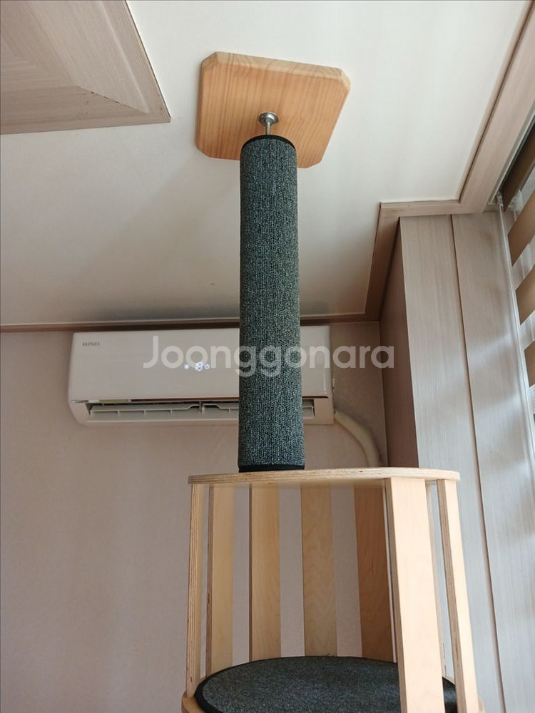 리즈캣 원목 캣타워 캣폴--2