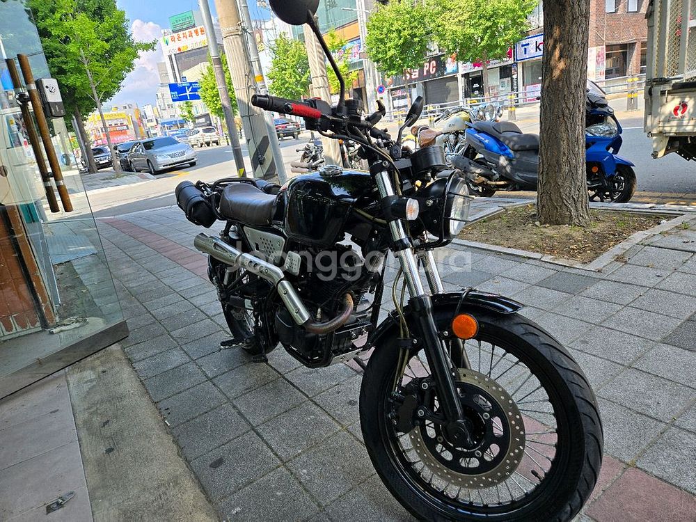부케너125.21년--7