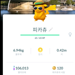 포켓몬고 배경 피카츄 이로치(급처)