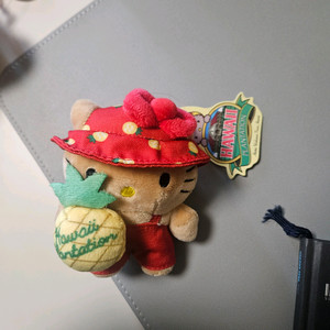 (하와이) 헬로키티 산리오 태닝키티 파인애플 키링