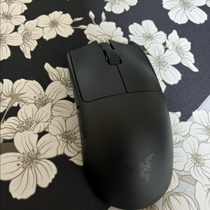 레이저 바이퍼v3pro