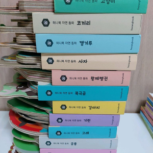 허니북자연동화 12권 (세이펜 가능)