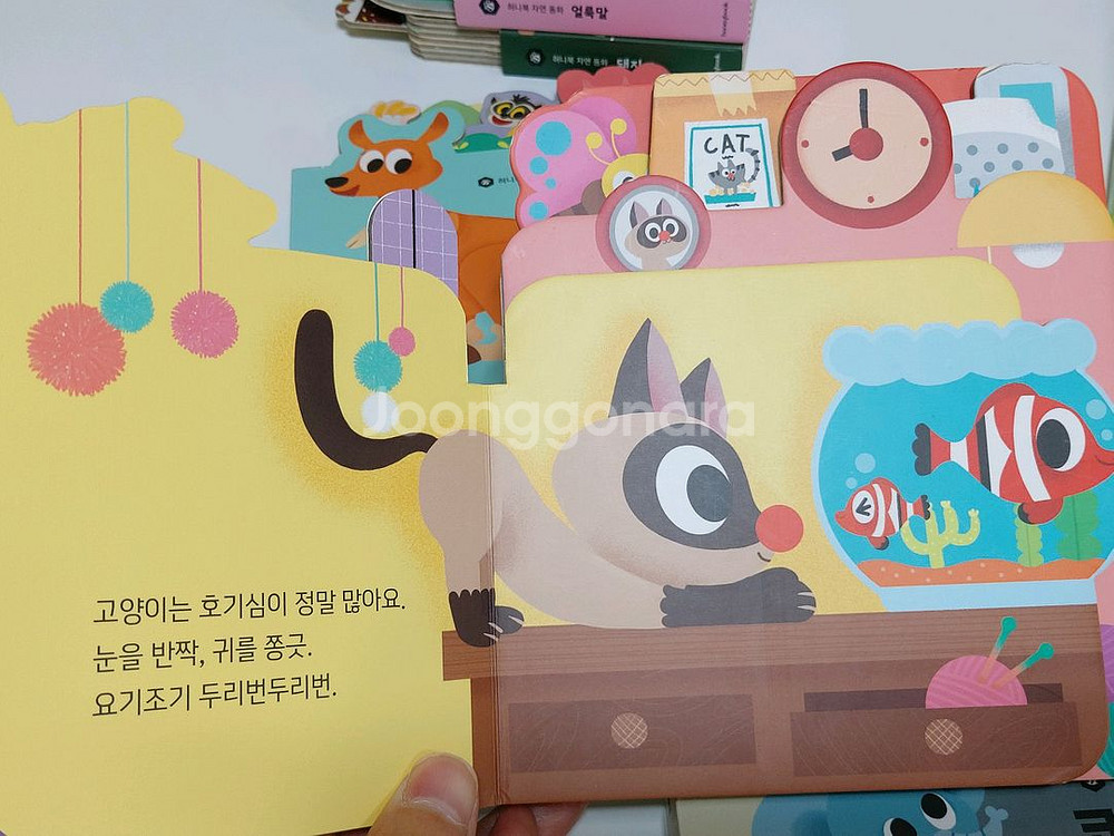 허니북자연동화 12권 (세이펜 가능)--2