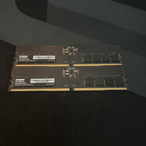 에센코어 클레브 KLEVV DDR5-4800 16GB