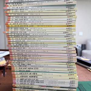 시공주니어문고 1단계 53권