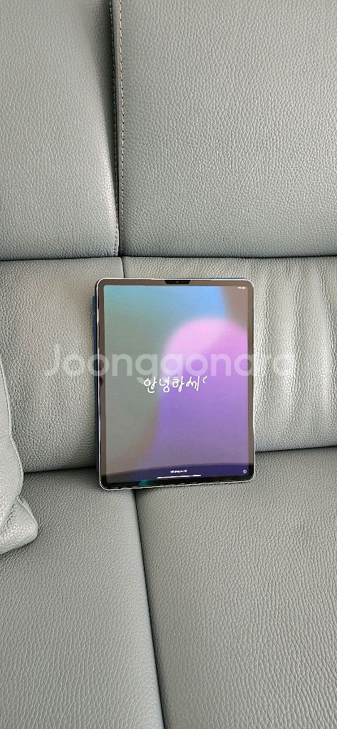 아이패드 프로 m2 12.9 + 펜슬(정품) + 케이스--1