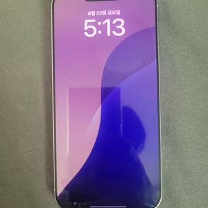 아이폰 16프로맥스 256 실버