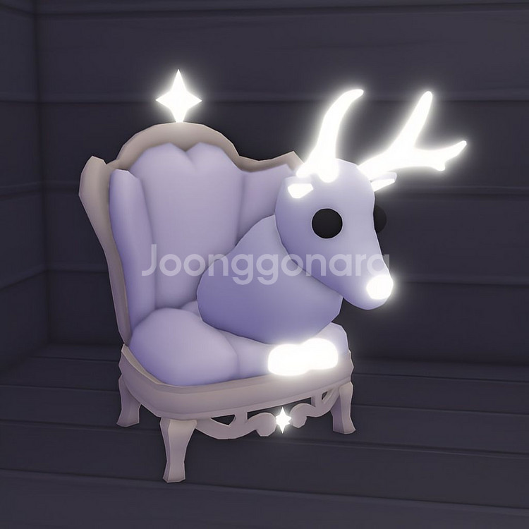 입양하세요 NFR 흰순 (네흰순)--0