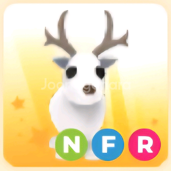 입양하세요 NFR 흰순 (네흰순)--1
