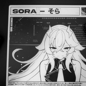 SKYPAD월핵SHINY SORA 스카이패드 샤이니소라