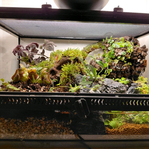 폭포 팔루다리움