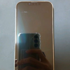 아이폰 13 프로 내부 lcd 파손폰 팝니다!