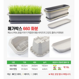 긴화분 판매합니다