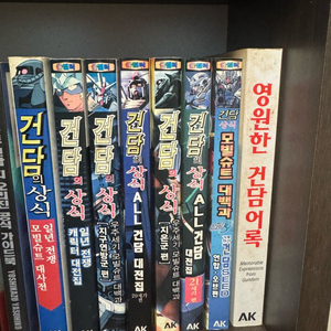 건담의 상식