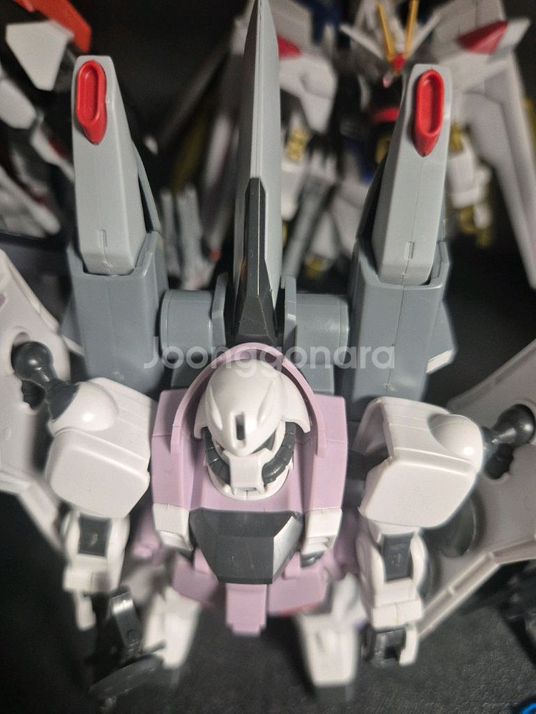rg,hg 시드 가조립팔아요--1