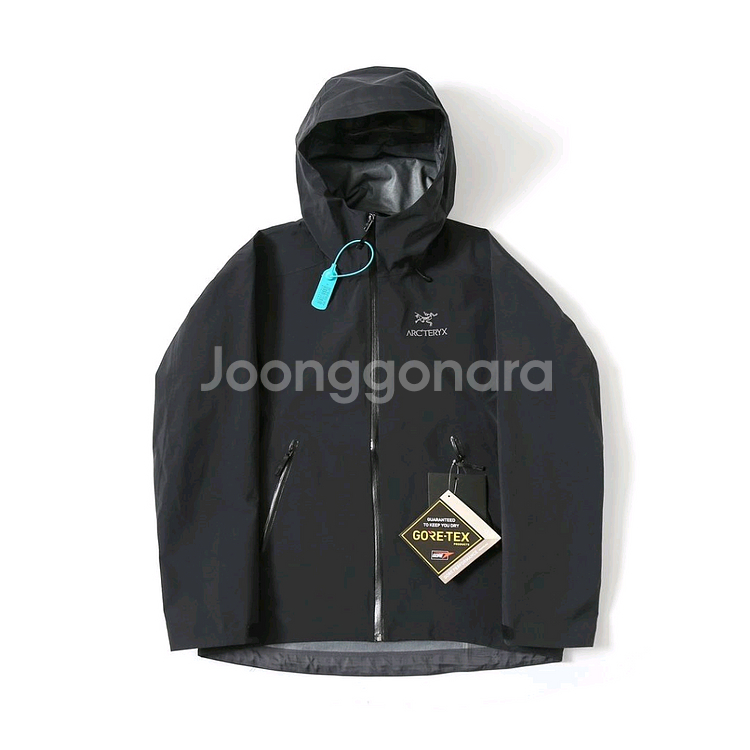 아크테릭스 베타 LT 고어텍스 자켓--1