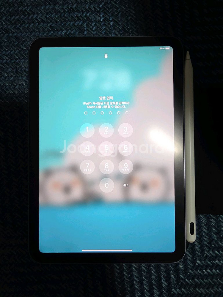 아이패드 미니 6세대 64GB wifi 퍼플--3