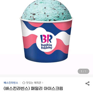 배스킨라빈스 베스킨라빈스 패밀리 아이스크림 기프티콘