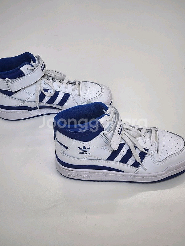 ADIDAS 포럼 미드 230--1