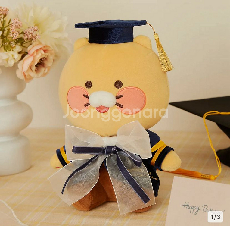 카카오프렌즈 졸업을 축하해 춘식이 졸업식 인형 판매--0